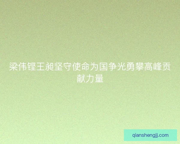 梁伟铿王昶坚守使命为国争光勇攀高峰贡献力量